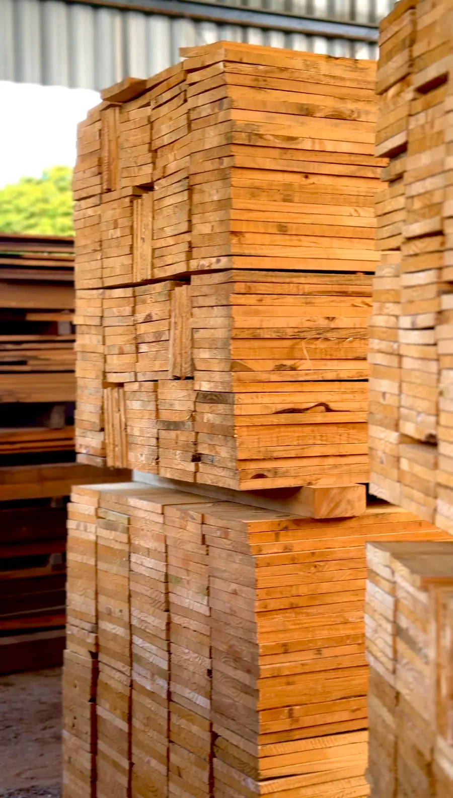Timber stock at A. Tavares